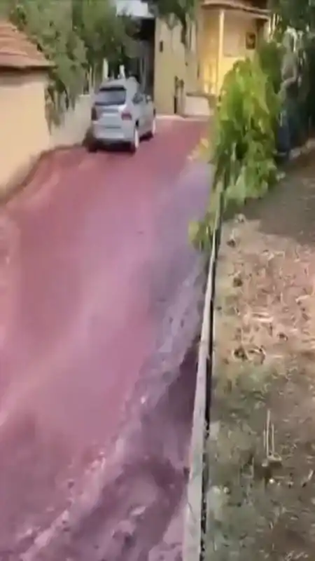 Nehir gibi akan şeyin ne olduğunu duyunca çok şaşıracaksınız