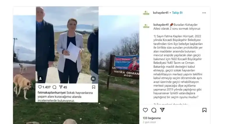 Hürriyet, sokak hayvanları için araziyi incelemişti KOHAYDER’den şok iddia!