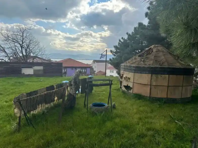İzmit'teki alan, zombi köyüne dönüştü!
