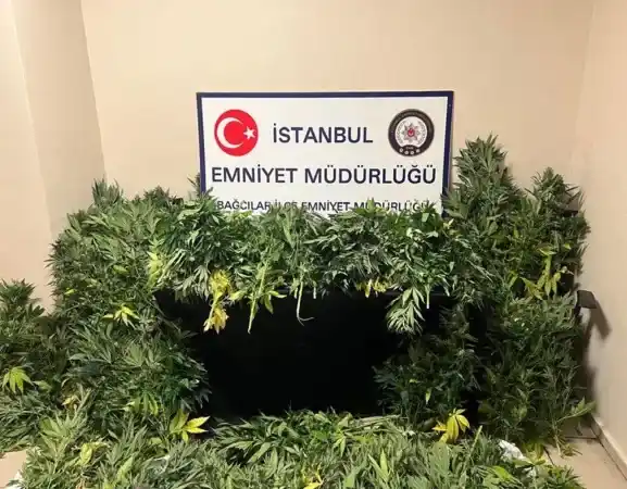 Villa değil uyuşturucu serası: Gördüklerinize inanamayacaksınız!
