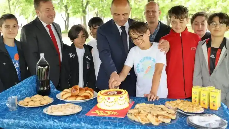 Söğüt pasta kesti