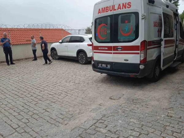 Kekik toplarken çıktığı duvardan düştü!