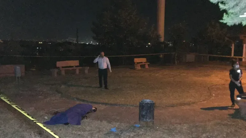 Tanımadığı genci parkta öldüren sanık: Bana küfür etti