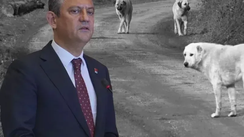 Özgür Özel’den köpeklerin uyutulmasına tepki: Barbarca