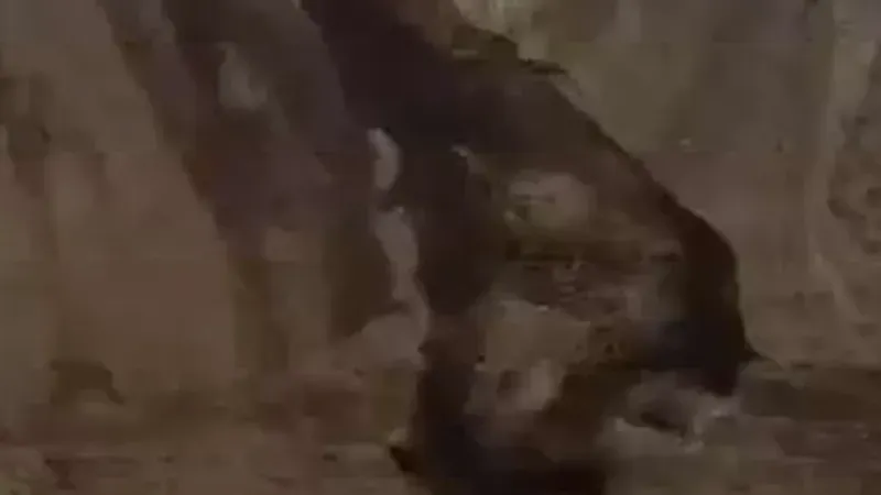 İliç'te toprak kayması. Arama kurtarma çalışması başlatıldı