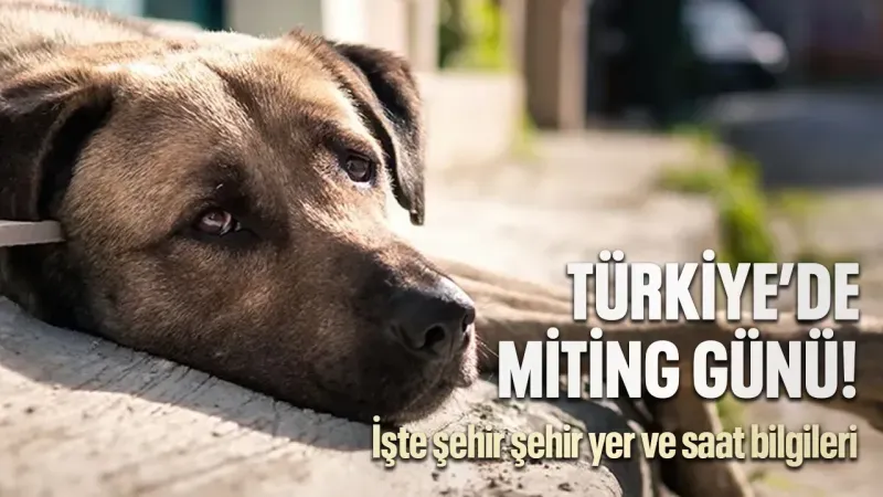 Türkiye’de miting günü! İşte şehir şehir yer ve saat bilgileri...