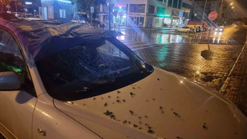 Kayseri’nin şiddetli rüzgardan düşen cam otomobile isabet etti