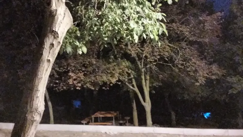 Şehitlik Korusu'nda güvenlik tamam, sıra aydınlatma ve kafede!