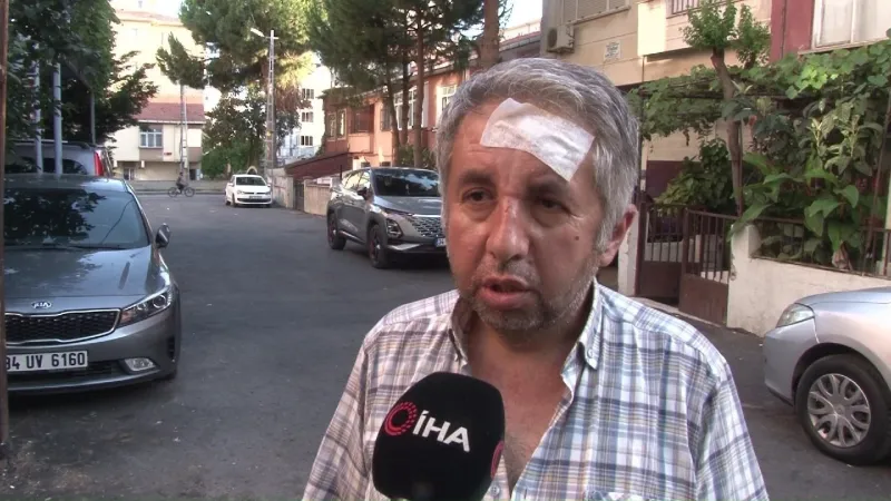İstanbul'da sokak hayvanlarını beslediği için darp edildi