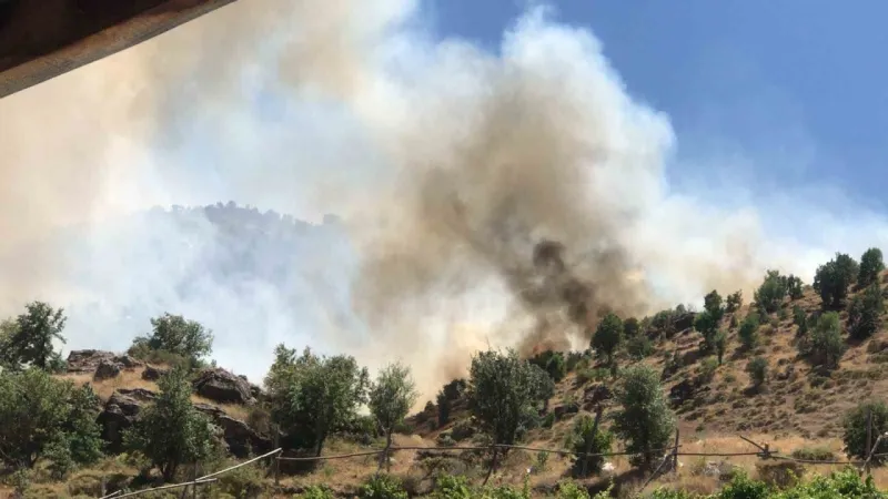 Adıyaman'da orman yangını