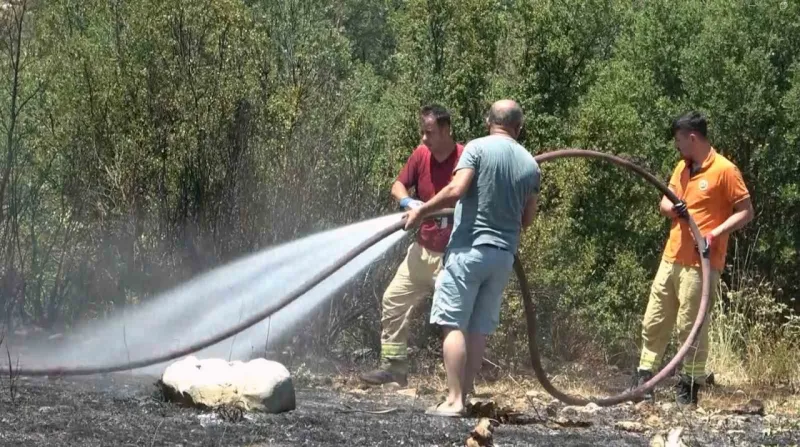 Muğla'da zamanında müdahale orman yangınını önledi