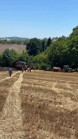 Sakarya'da anız yangını