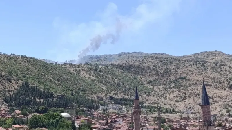 Afyonkarahisar'da ormanlık alanda yangın!