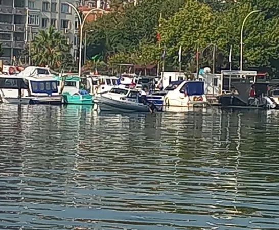 Bursa’da denizde ceset bulundu