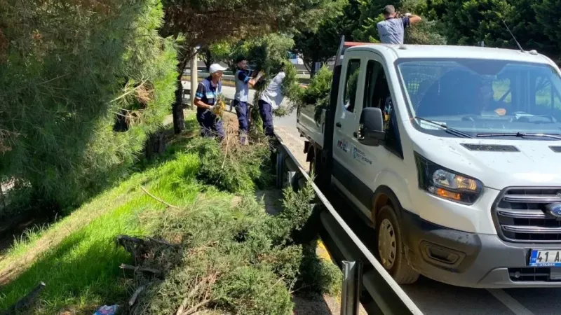 Ot ve mıntıka temizliği yapıyorlar