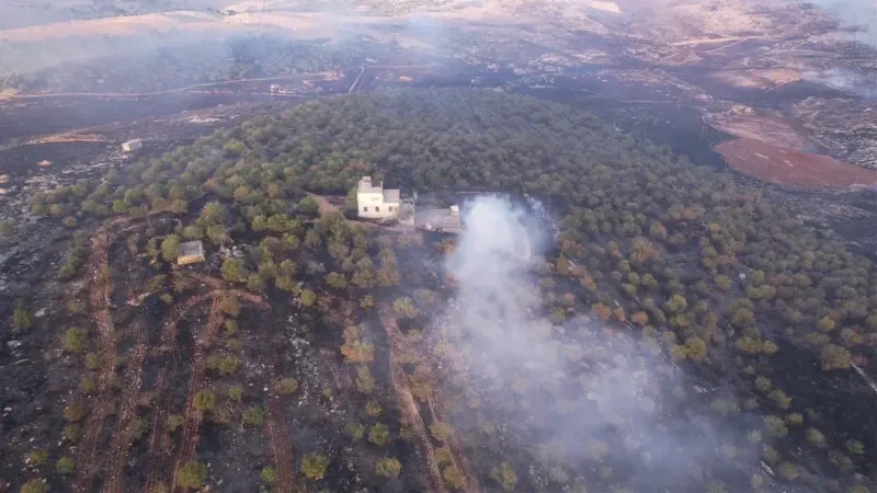 Adıyaman’da orman yangını söndürüldü
