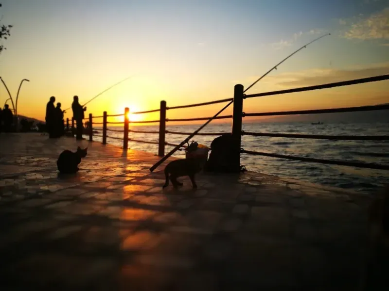 İstanbul’un yanı başındaki küçük İzmir! Gidenler, yerleşmek istiyor!