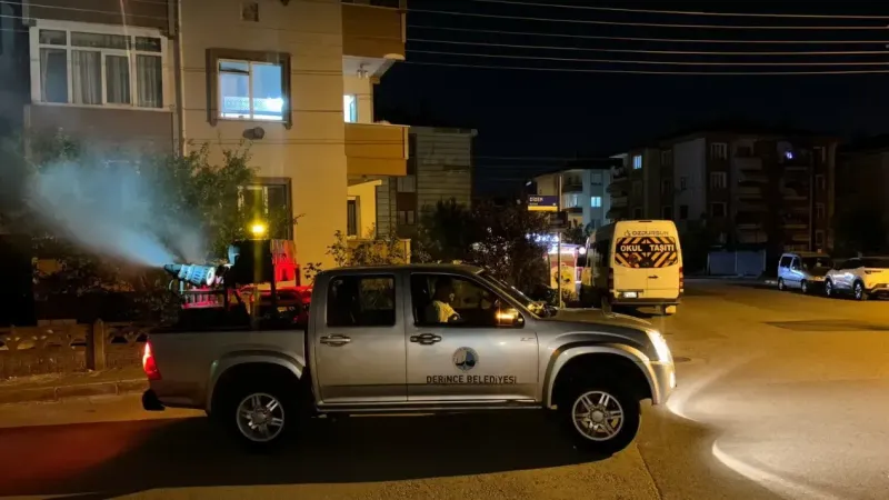 Tüm ilçe ilaçlanıyor