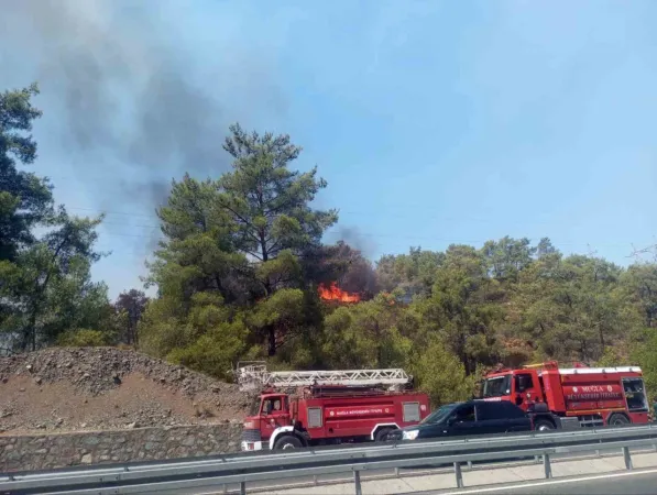 Muğla’da orman yangını