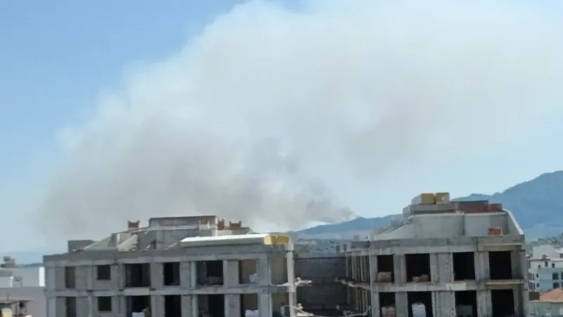 Aydın’da orman yangını