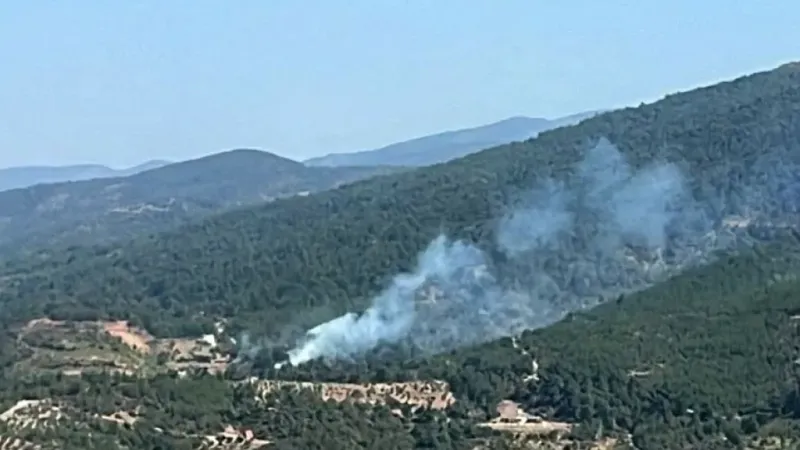 İzmir’de orman yangını