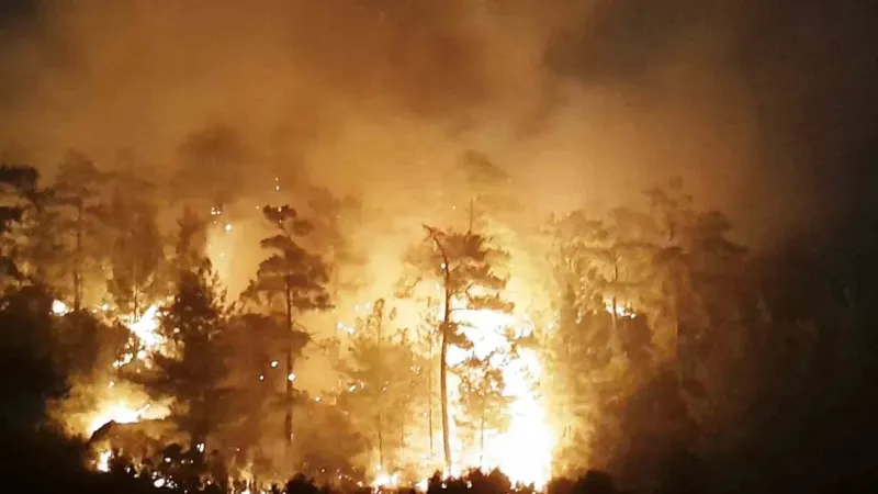 Muğla'da orman yangını