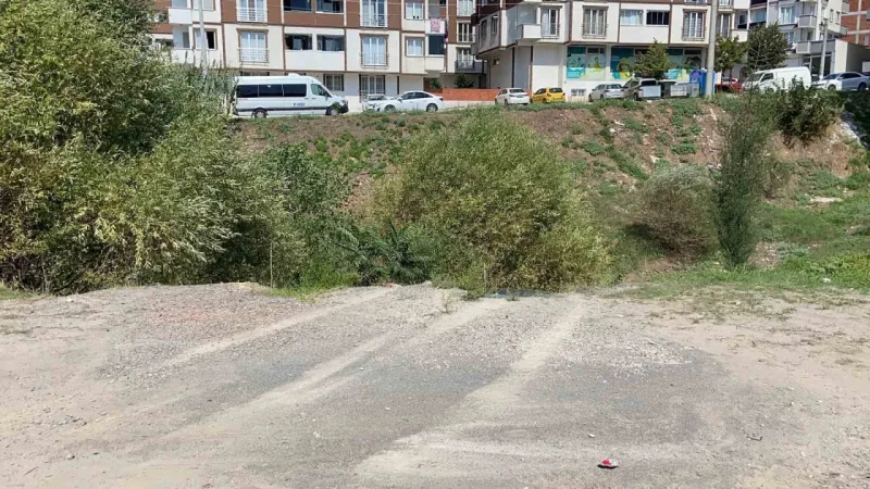 Dereye uçan otomobilden burnu bile kanamadan çıktı