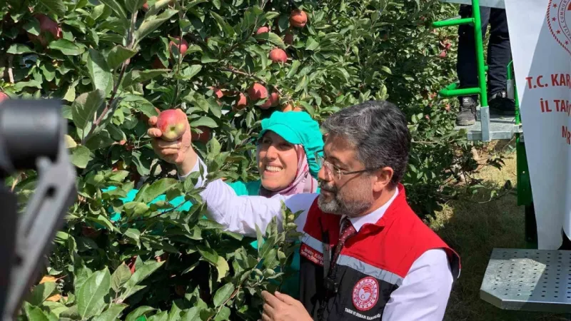 Tarım ve Orman Bakanı Yumaklı, elma hasadı yaptı