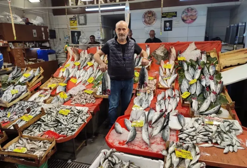 Palamut kapış kapış gidiyor, diğerleri bakıyor!