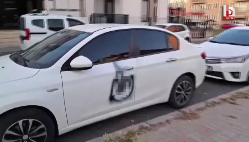 Park halindeki otomobili boyayıp, kaçtı!