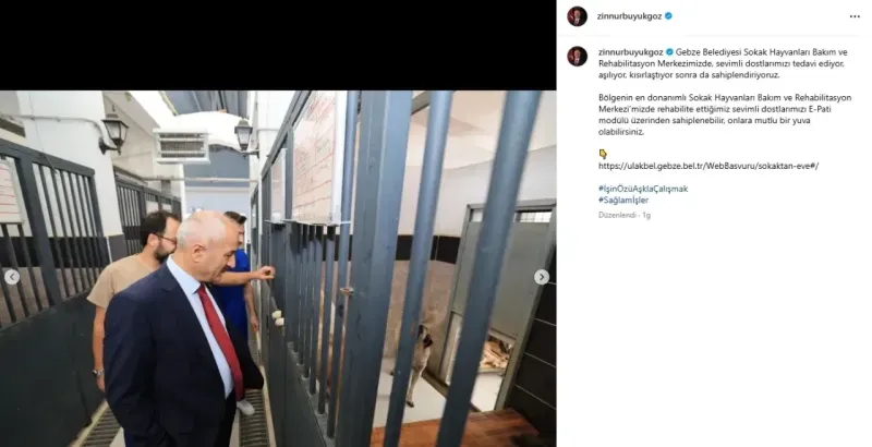 Gebzeli dernek başkanından şok iddia! “Hayvanlar boğularak öldürüldü”