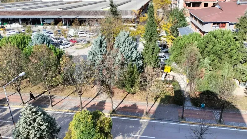 Doğu Kışla’daki pazara gelenler dikkat, bu yola park etmeden önce bir daha düşünün!