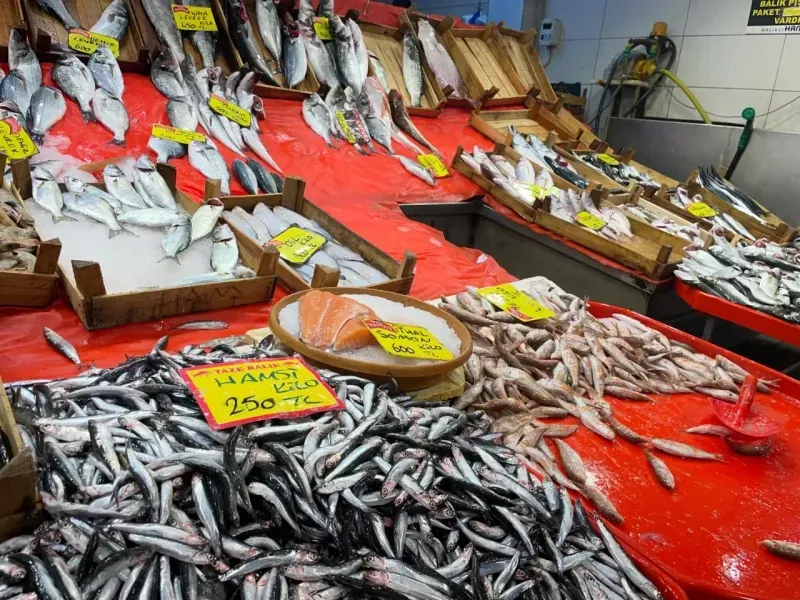 Kocaeli’de 200 TL’nin altında balık yok! Kocaeli Balık Hali balık fiyatları