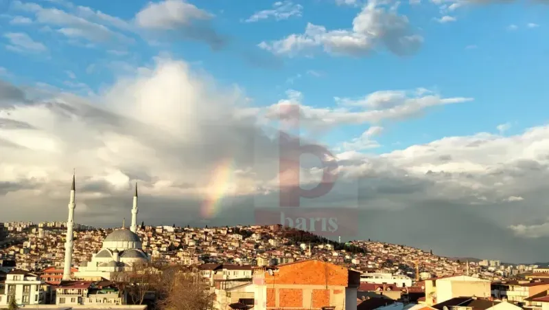 Kış günü İzmit’te ortaya çıktı, görenler şaştı kaldı!
