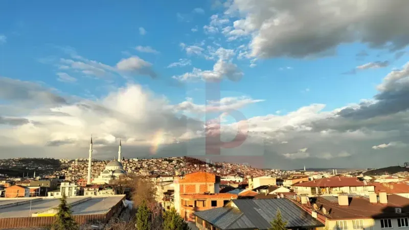 Kış günü İzmit’te ortaya çıktı, görenler şaştı kaldı!