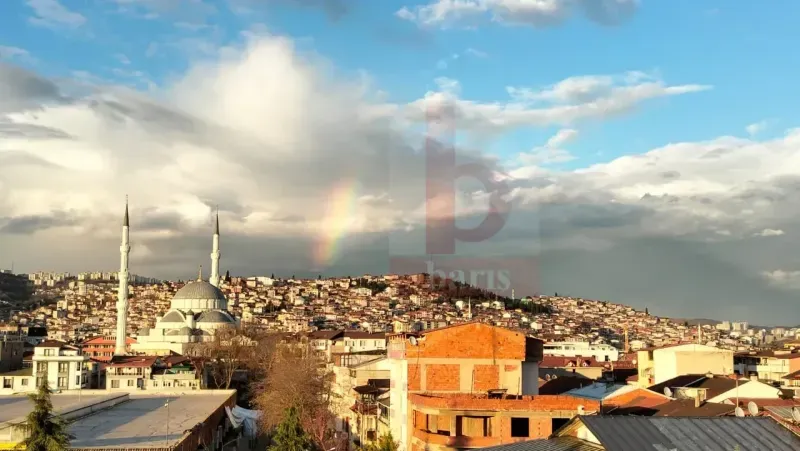 Kış günü İzmit’te ortaya çıktı, görenler şaştı kaldı!