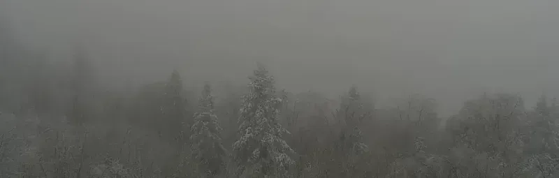 İstanbul’dan Kocaeli’ye kar akını!