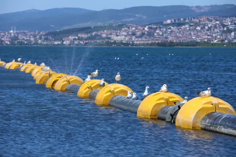 İzmit Körfezi hem korunuyor hem temizleniyor